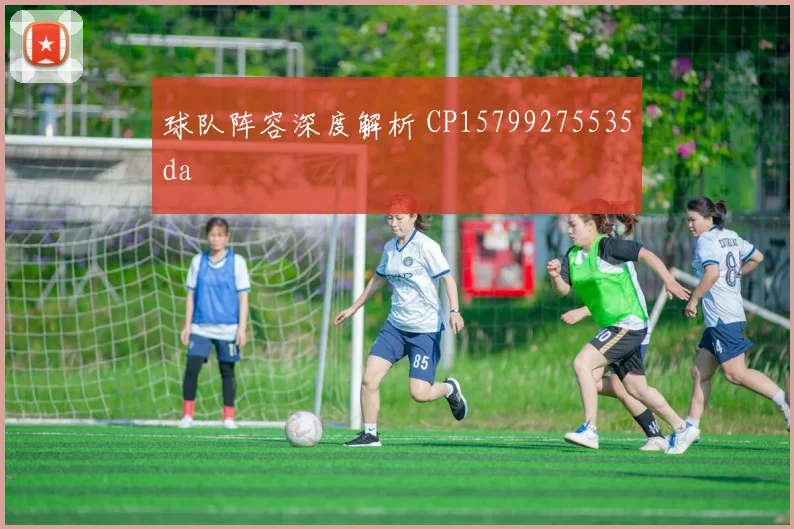 球队阵容深度解析 CP15799275535da